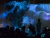 Illuminated Forest